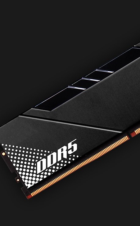 TwinMOS DRAM Module